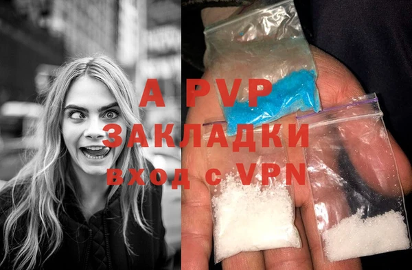 индика Нефтекумск