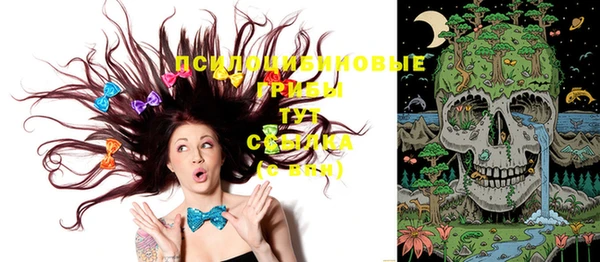 индика Нефтекумск