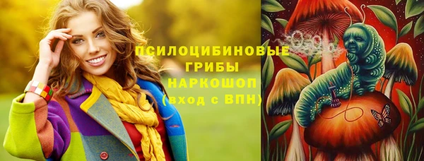 индика Нефтекумск