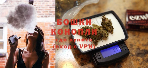индика Нефтекумск