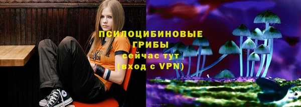 индика Нефтекумск