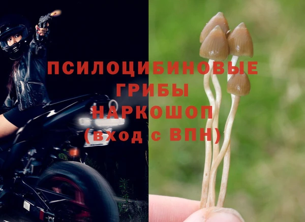 ALPHA-PVP Нефтегорск